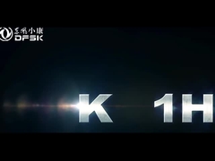 Certificato UE dfsk K01H LHD